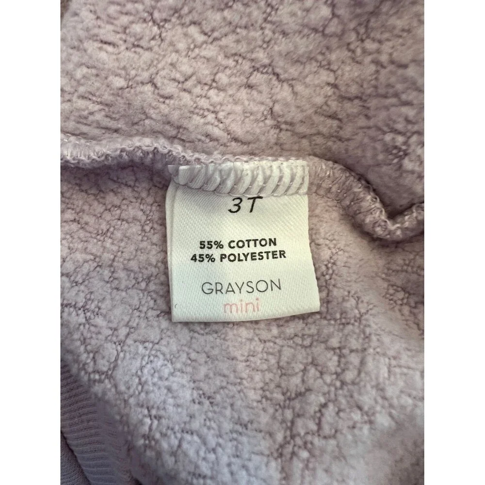 Lavender Apres Ski Toddler Hoodie Size 3T